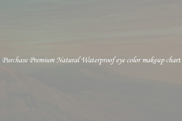Purchase Premium Natural Waterproof eye color makeup chart