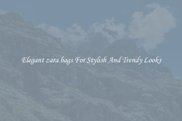 Elegant zara bags For Stylish And Trendy Looks