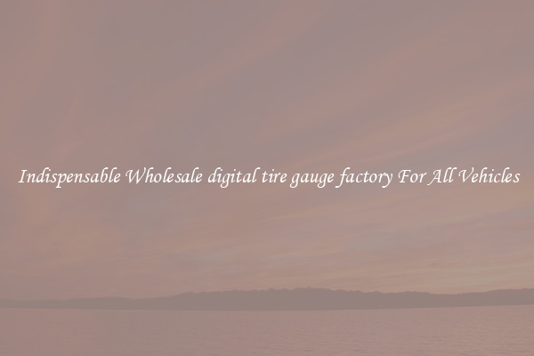 Indispensable Wholesale digital tire gauge factory For All Vehicles