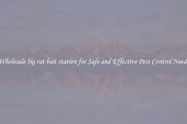 Wholesale big rat bait station for Safe and Effective Pest Control Needs