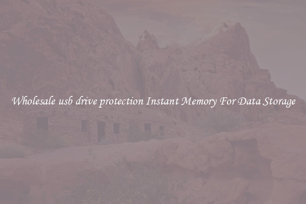 Wholesale usb drive protection Instant Memory For Data Storage