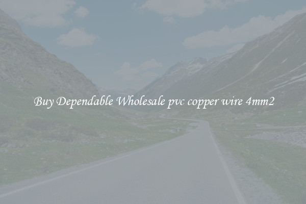 Buy Dependable Wholesale pvc copper wire 4mm2