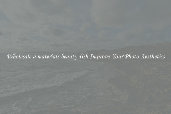 Wholesale a materials beauty dish Improve Your Photo Aesthetics