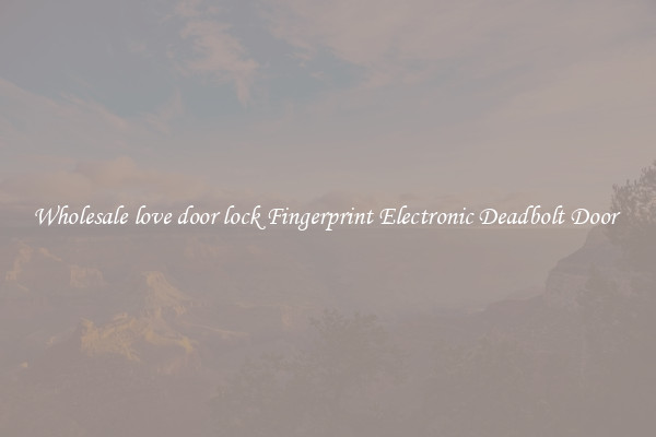 Wholesale love door lock Fingerprint Electronic Deadbolt Door 