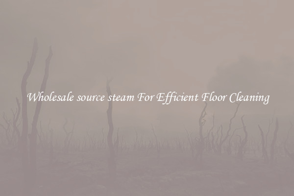 Wholesale source steam For Efficient Floor Cleaning