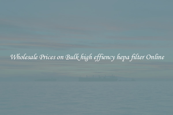 Wholesale Prices on Bulk high effiency hepa filter Online