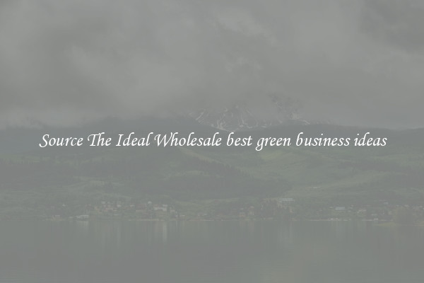 Source The Ideal Wholesale best green business ideas