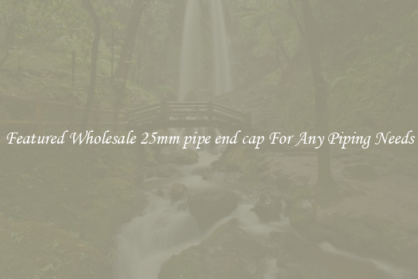 Featured Wholesale 25mm pipe end cap For Any Piping Needs