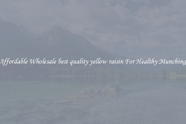 Affordable Wholesale best quality yellow raisin For Healthy Munching 