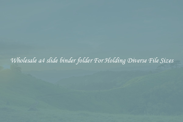 Wholesale a4 slide binder folder For Holding Diverse File Sizes