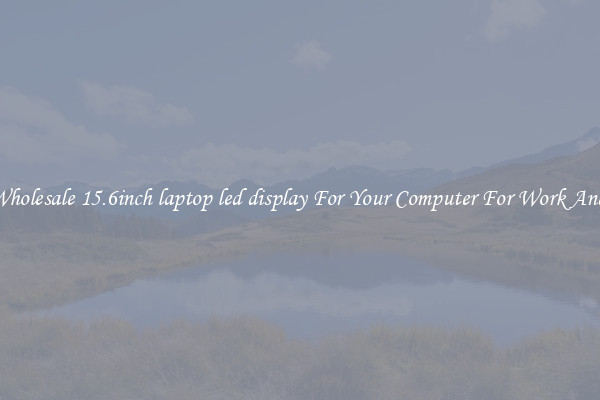 Crisp Wholesale 15.6inch laptop led display For Your Computer For Work And Home