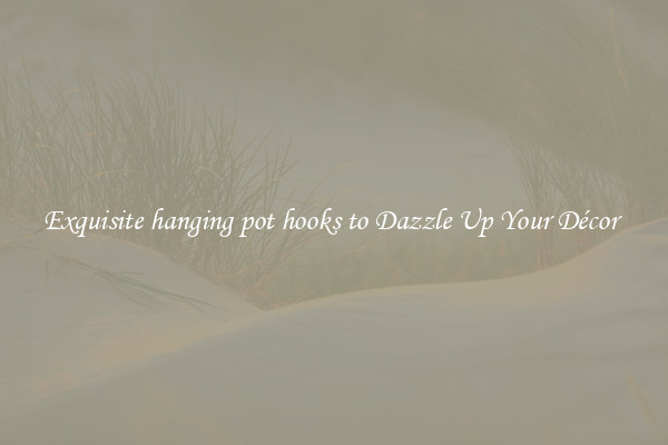 Exquisite hanging pot hooks to Dazzle Up Your Décor 
