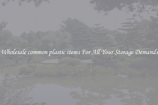 Wholesale common plastic items For All Your Storage Demands