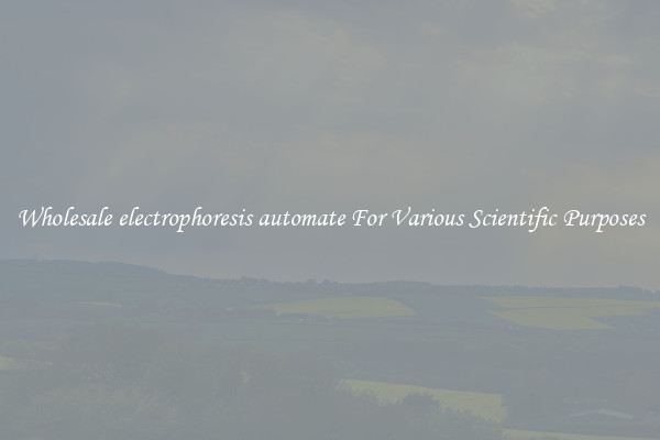 Wholesale electrophoresis automate For Various Scientific Purposes