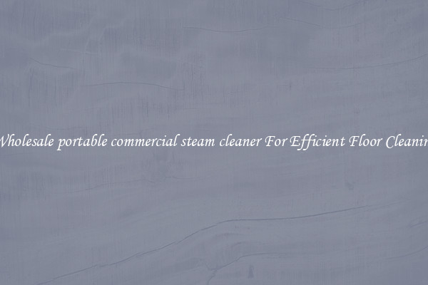 Wholesale portable commercial steam cleaner For Efficient Floor Cleaning