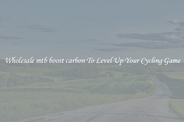 Wholesale mtb boost carbon To Level Up Your Cycling Game