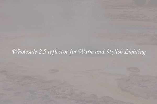 Wholesale 2.5 reflector for Warm and Stylish Lighting