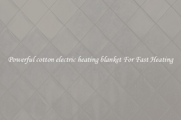 Powerful cotton electric heating blanket For Fast Heating