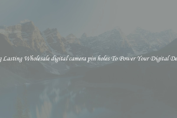 Long Lasting Wholesale digital camera pin holes To Power Your Digital Devices