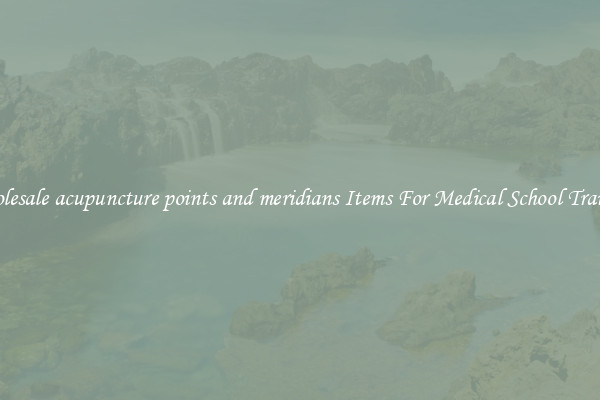 Wholesale acupuncture points and meridians Items For Medical School Training