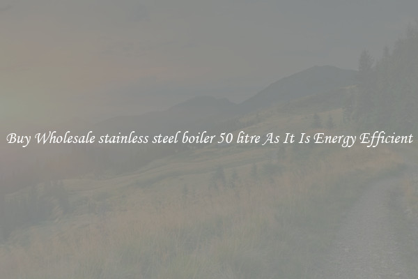Buy Wholesale stainless steel boiler 50 litre As It Is Energy Efficient