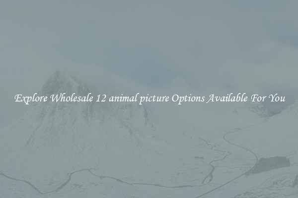Explore Wholesale 12 animal picture Options Available For You