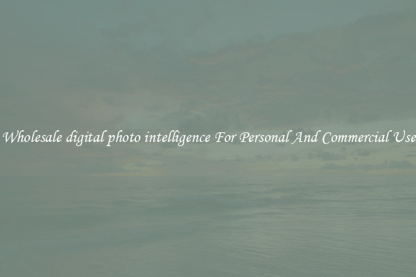 Wholesale digital photo intelligence For Personal And Commercial Use